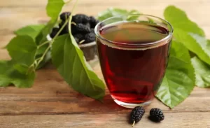 Conheça os benefícios do Chá de Folha de Amora